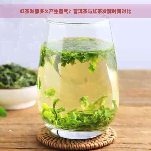 红茶发酵多久产生香气？普洱茶与红茶发酵时间对比