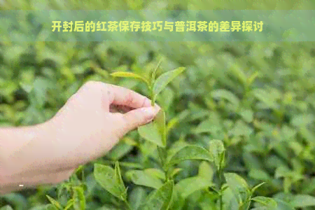 开封后的红茶保存技巧与普洱茶的差异探讨