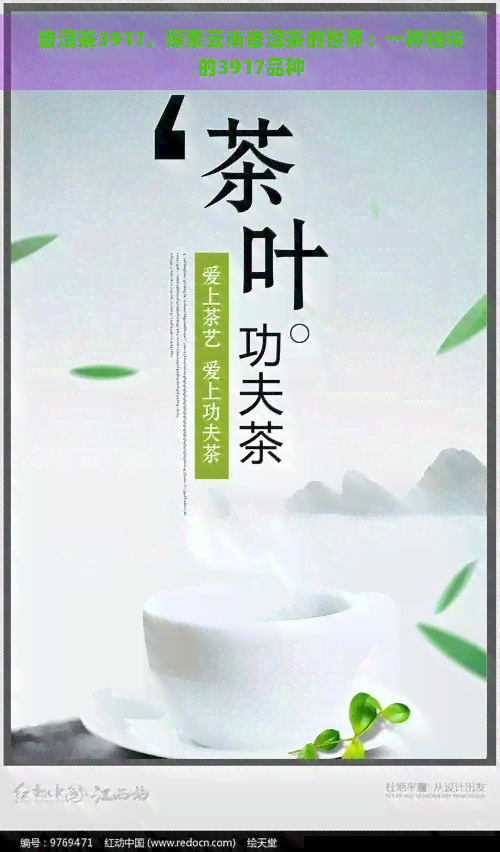 普洱茶3917，探索云南普洱茶的世界：一种独特的3917品种