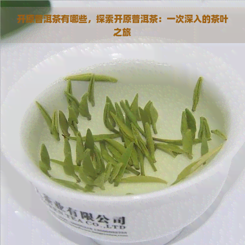 开原普洱茶有哪些，探索开原普洱茶：一次深入的茶叶之旅