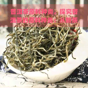 普洱茶原料种类，探究普洱茶的原料种类：从新茶叶到陈年老茶的全过程