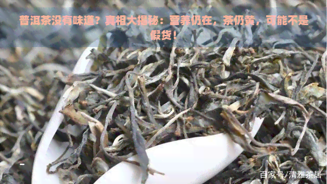 普洱茶没有味道？真相大揭秘：营养仍在，茶仍黄，可能不是假货！