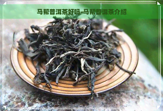 马帮普洱茶好吗-马帮普洱茶介绍