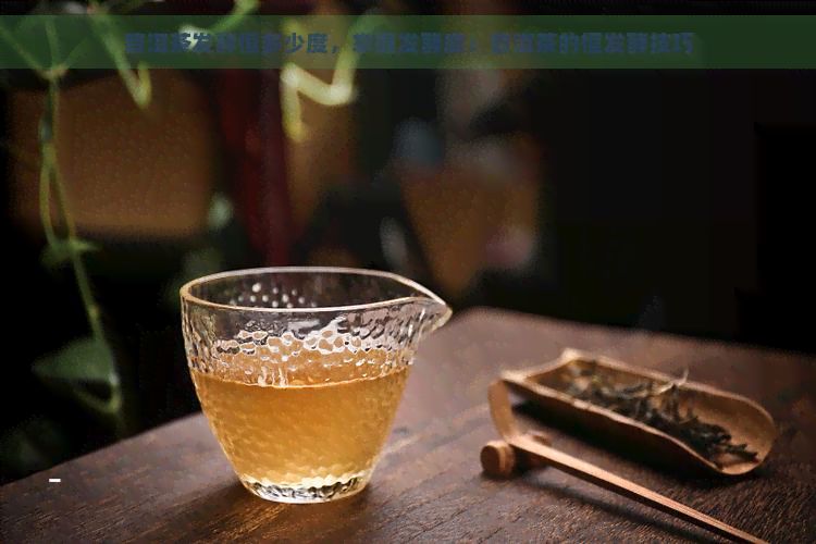 普洱茶发酵恒多少度，掌握发酵度：普洱茶的恒发酵技巧