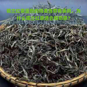 锡兰红茶是热的吗麦当劳有卖吗，为什么锡兰红茶适合做奶茶？