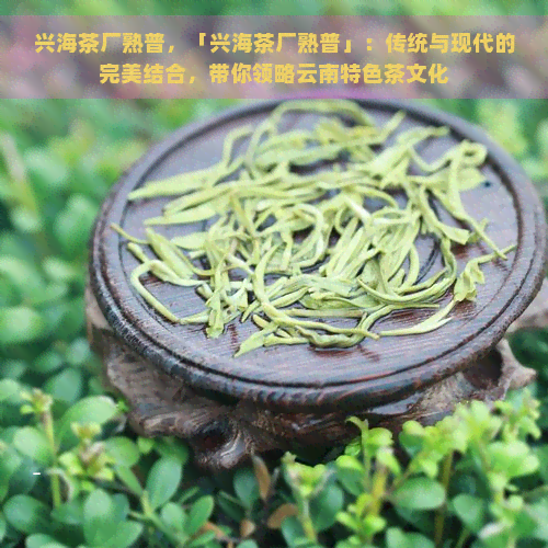 兴海茶厂熟普，「兴海茶厂熟普」：传统与现代的完美结合，带你领略云南特色茶文化