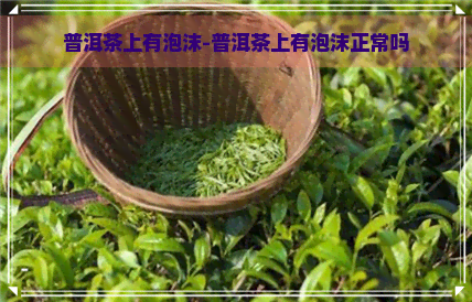 普洱茶上有泡沫-普洱茶上有泡沫正常吗