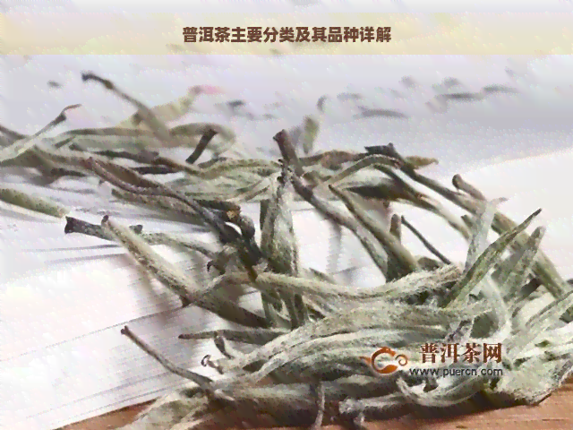 普洱茶主要分类及其品种详解