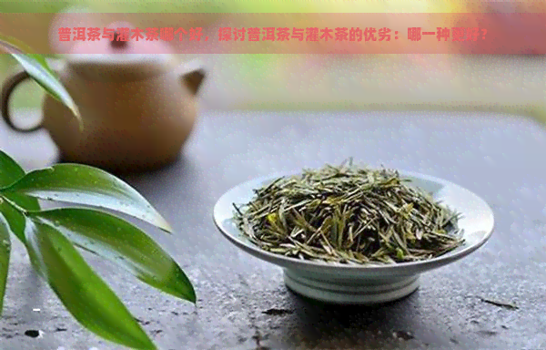 普洱茶与灌木茶哪个好，探讨普洱茶与灌木茶的优劣：哪一种更好？