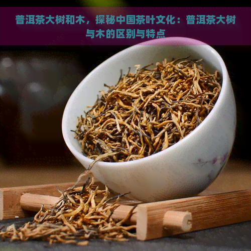普洱茶大树和木，探秘中国茶叶文化：普洱茶大树与木的区别与特点