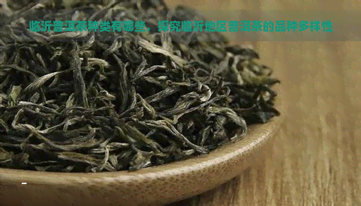 临沂普洱茶种类有哪些，探究临沂地区普洱茶的品种多样性
