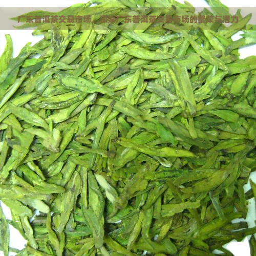 广东普洱茶交易市场，探索广东普洱茶交易市场的繁荣与潜力