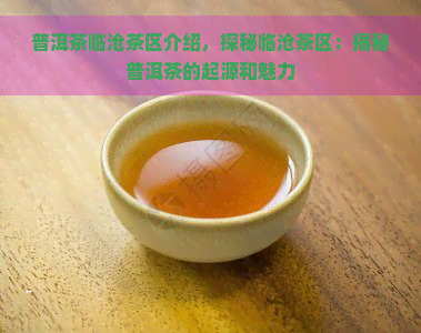 普洱茶临沧茶区介绍，探秘临沧茶区：揭秘普洱茶的起源和魅力
