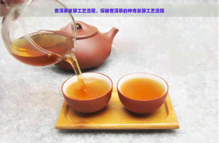 普洱茶发酵工艺流程，探秘普洱茶的神奇发酵工艺流程