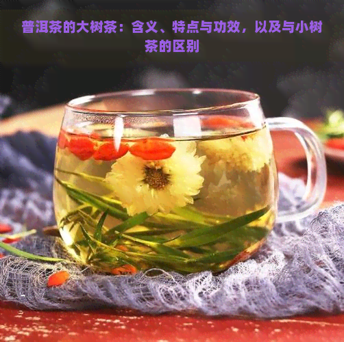 普洱茶的大树茶：含义、特点与功效，以及与小树茶的区别