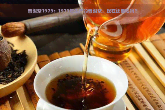 普洱茶1973：1973年生产的普洱茶，现在还能喝吗？