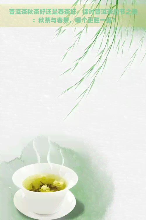 普洱茶秋茶好还是春茶好，探讨普洱茶的节之美：秋茶与春茶，哪个更胜一筹？