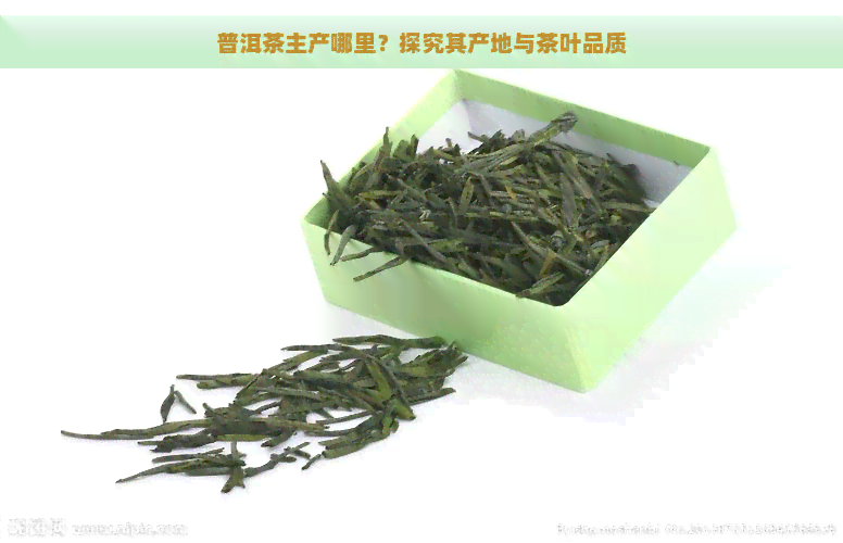 普洱茶主产哪里？探究其产地与茶叶品质