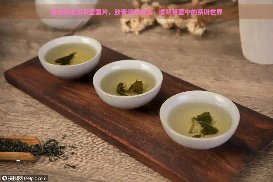 普洱茶透明茶壶图片，欣普洱茶的美：透明茶壶中的茶叶世界
