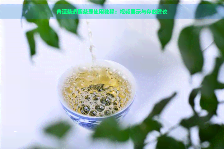 普洱茶透明茶壶使用教程：视频展示与存放建议