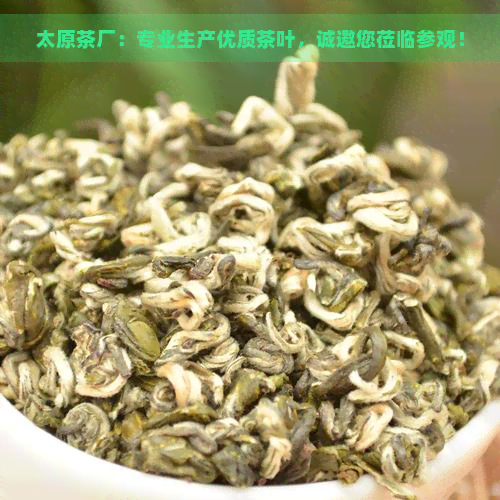 太原茶厂：专业生产优质茶叶，诚邀您莅临参观！