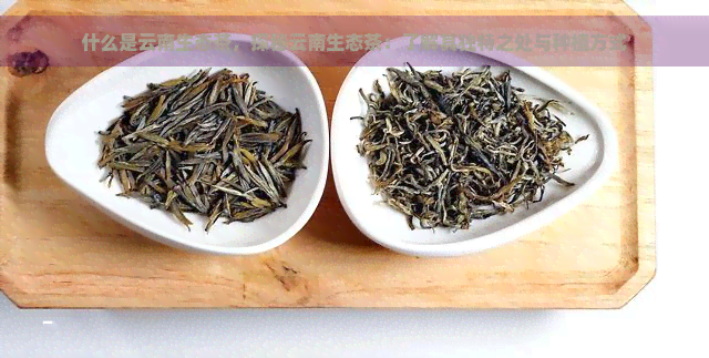 什么是云南生态茶，探秘云南生态茶：了解其独特之处与种植方式