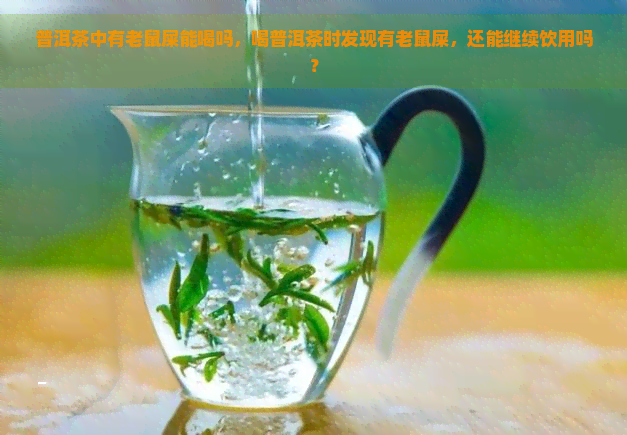 普洱茶中有老鼠屎能喝吗，喝普洱茶时发现有老鼠屎，还能继续饮用吗？