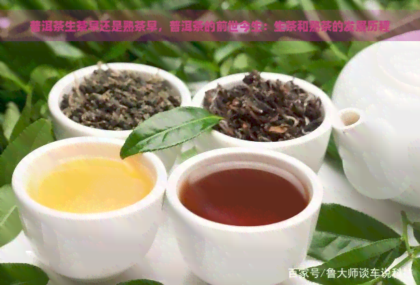 普洱茶生茶早还是熟茶早，普洱茶的前世今生：生茶和熟茶的发展历程