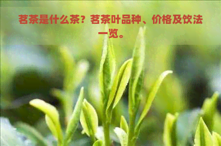 茗茶华体会入口是什么茶？茗茶叶品种价格及饮法一览(图1)