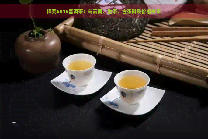 探究5815普洱茶：与云南、生茶、古茶树及价格关系