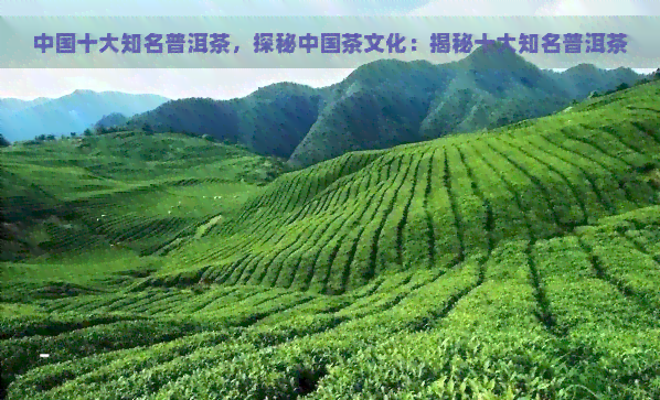 中国十大知名普洱茶，探秘中国茶文化：揭秘十大知名普洱茶