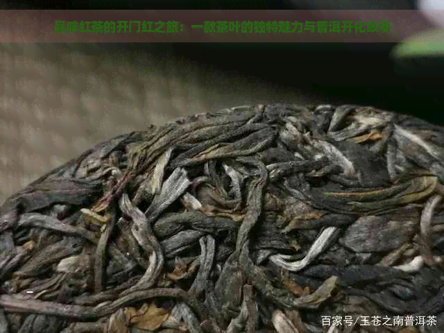 品味红茶的开门红之旅：一款茶叶的独特魅力与普洱开化故事