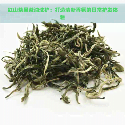 红山茶果茶油洗护：打造清新香氛的日常护发体验