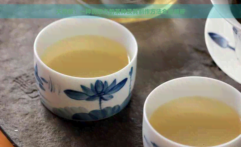 大煎茶：一种历悠久的茶种及其制作方法全面解析