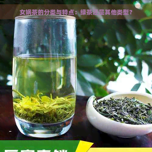 女娲茶的分类与特点：绿茶还是其他类型？