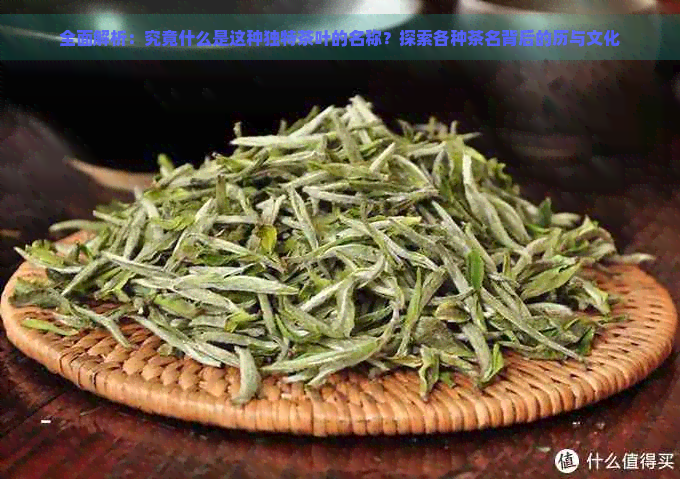 全面解析：究竟什么是这种独特茶叶的名称？探索各种茶名背后的历与文化