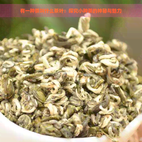 有一种茶叫什么茶叶：探究小种茶的神秘与魅力