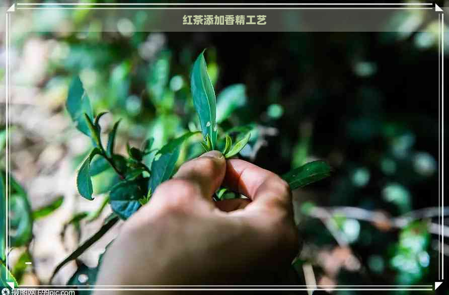 红茶添加香精工艺