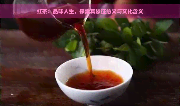 红茶：品味人生，探索其象征意义与文化含义