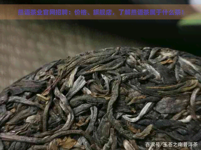 燕语茶业官网招聘：价格、旗舰店，了解燕语茶属于什么茶！