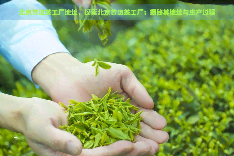 北京普洱茶工厂地址，探索北京普洱茶工厂：揭秘其地址与生产过程