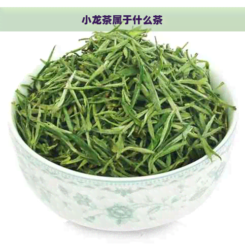 小龙茶属于什么茶