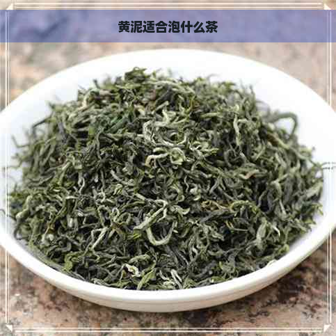 黄泥适合泡什么茶