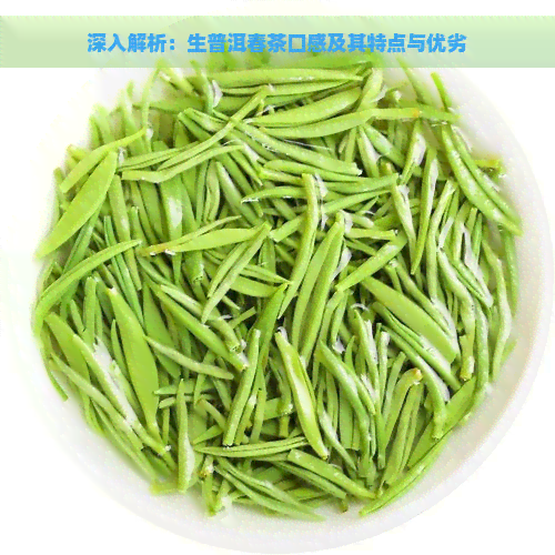 深入解析：生普洱春茶口感及其特点与优劣