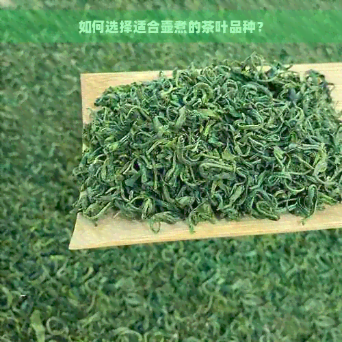 如何选择适合壶煮的茶叶品种？