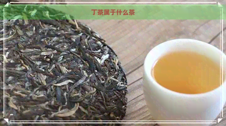 丁茶属于什么茶