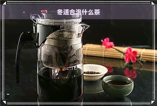 冬适合泡什么茶