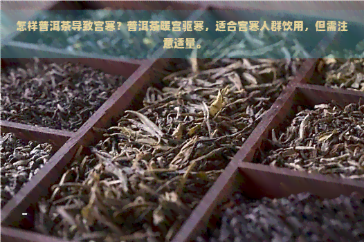 怎样普洱茶导致宫寒？普洱茶暖宫驱寒，适合宫寒人群饮用，但需注意适量。