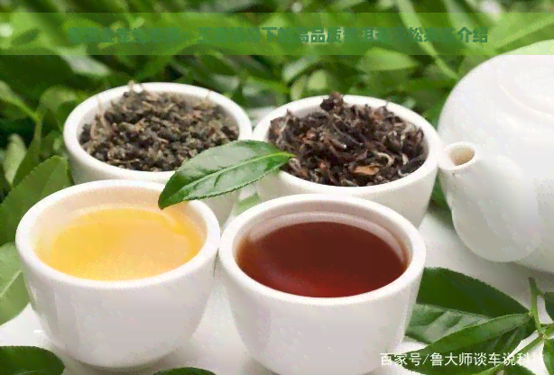 普洱金雀生态茶：王霞领导下的高品质普洱茶及松泉茶介绍