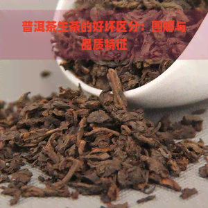 普洱茶生茶的好坏区分：图解与品质特征